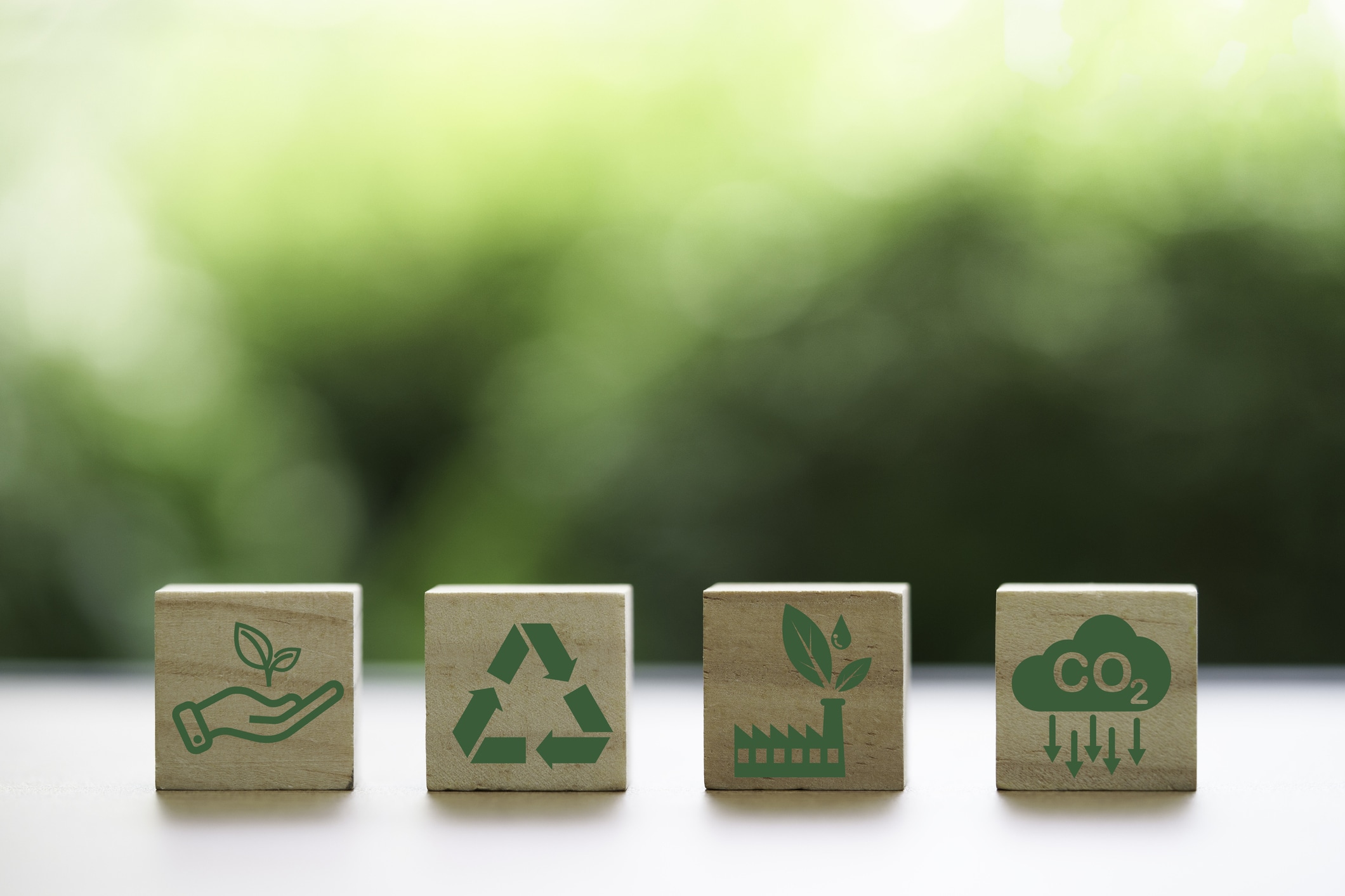 understand the need to have an eco-sustainable moving process.
