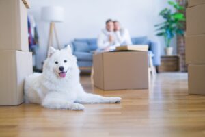 Ensuring Smooth Moving with Pets