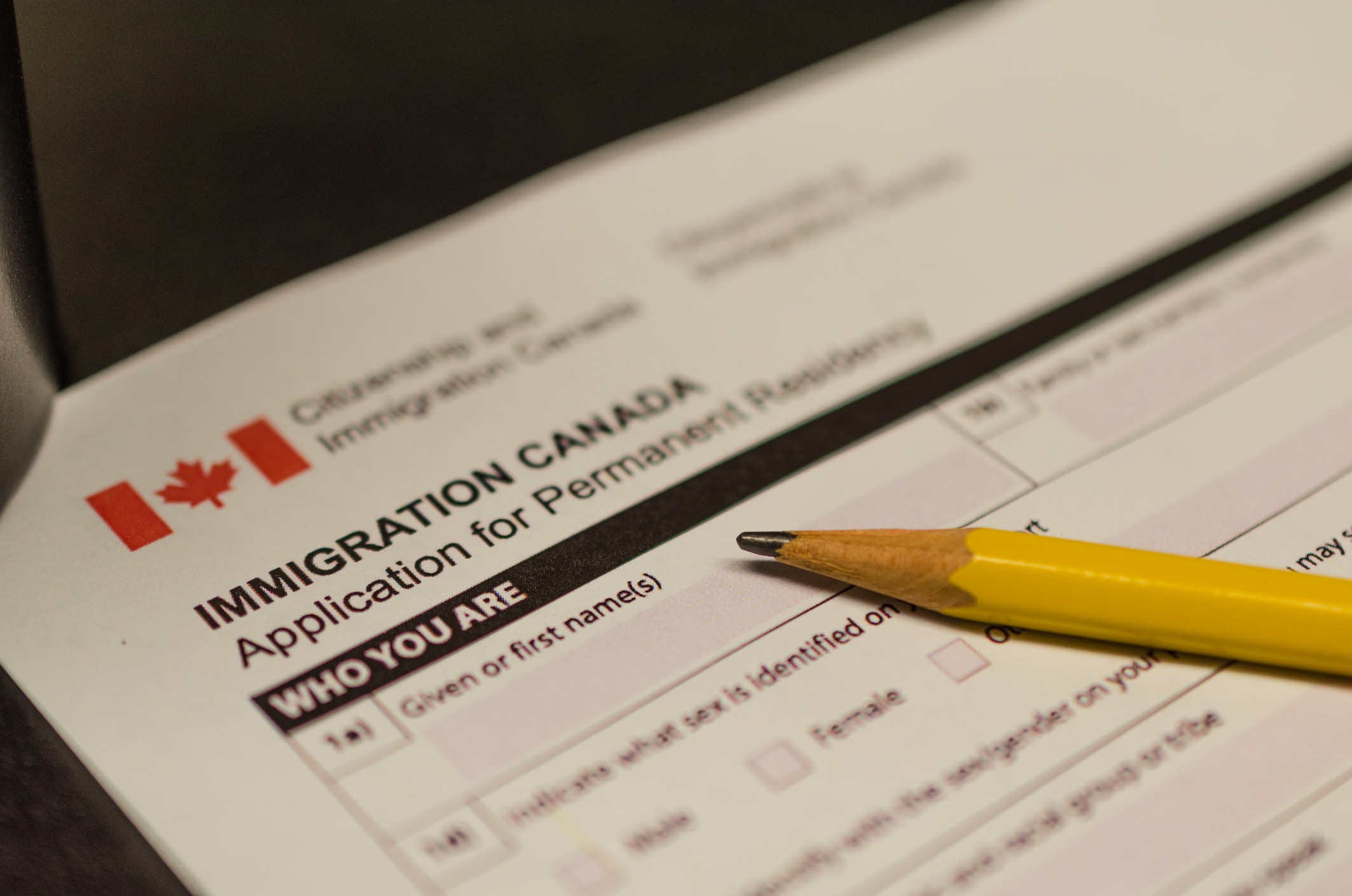 Visa Requiremets and Immigration Process